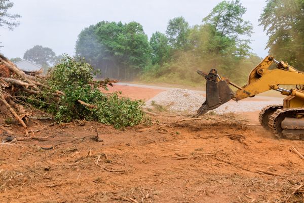 Cost of Ground Clearing in Moncks Corner