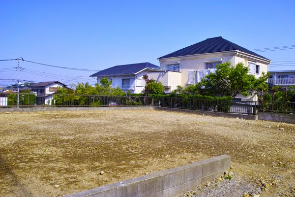 Cost of Lot Clearing Service in Moncks Corner