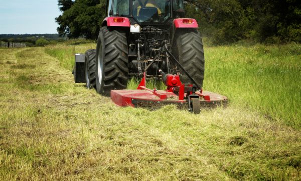 Cost of Brush Clearing Service in Moncks Corner