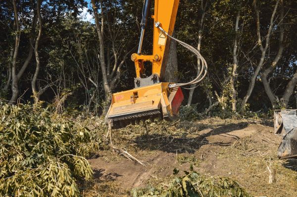 Cost of Brush Removal Service in Moncks Corner