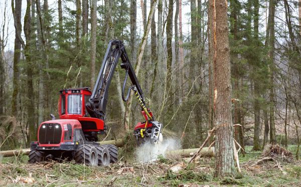 Cost of Forest Clearance Service in Moncks Corner