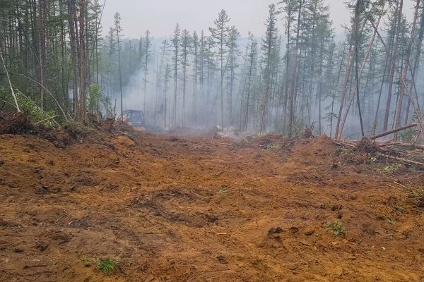 Cost of Hill Clearing in Moncks Corner