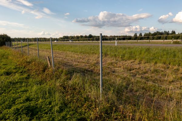 Cost of Property Line Clearing in Moncks Corner