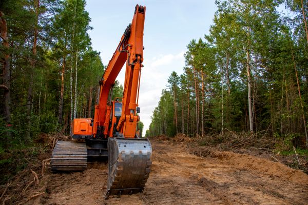 Cost of Backhoe Land Clearing in Moncks Corner