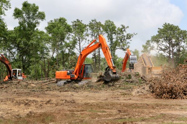 Cost of Commercial Lot Clearing in Moncks Corner