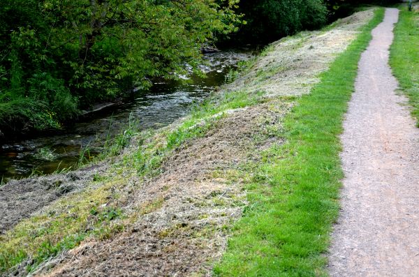 Cost of Trail Cutting in Moncks Corner
