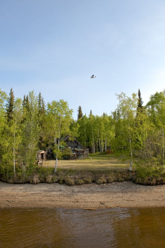 Efficient Land Clearing Solutions