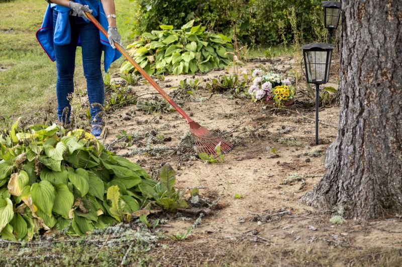 Off-Season Land Clearing